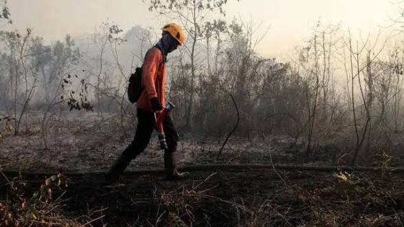Karhutla Jambi Berulang Sejauh Mana Penegakan Hukum Mampu Memberikan Efek Jera